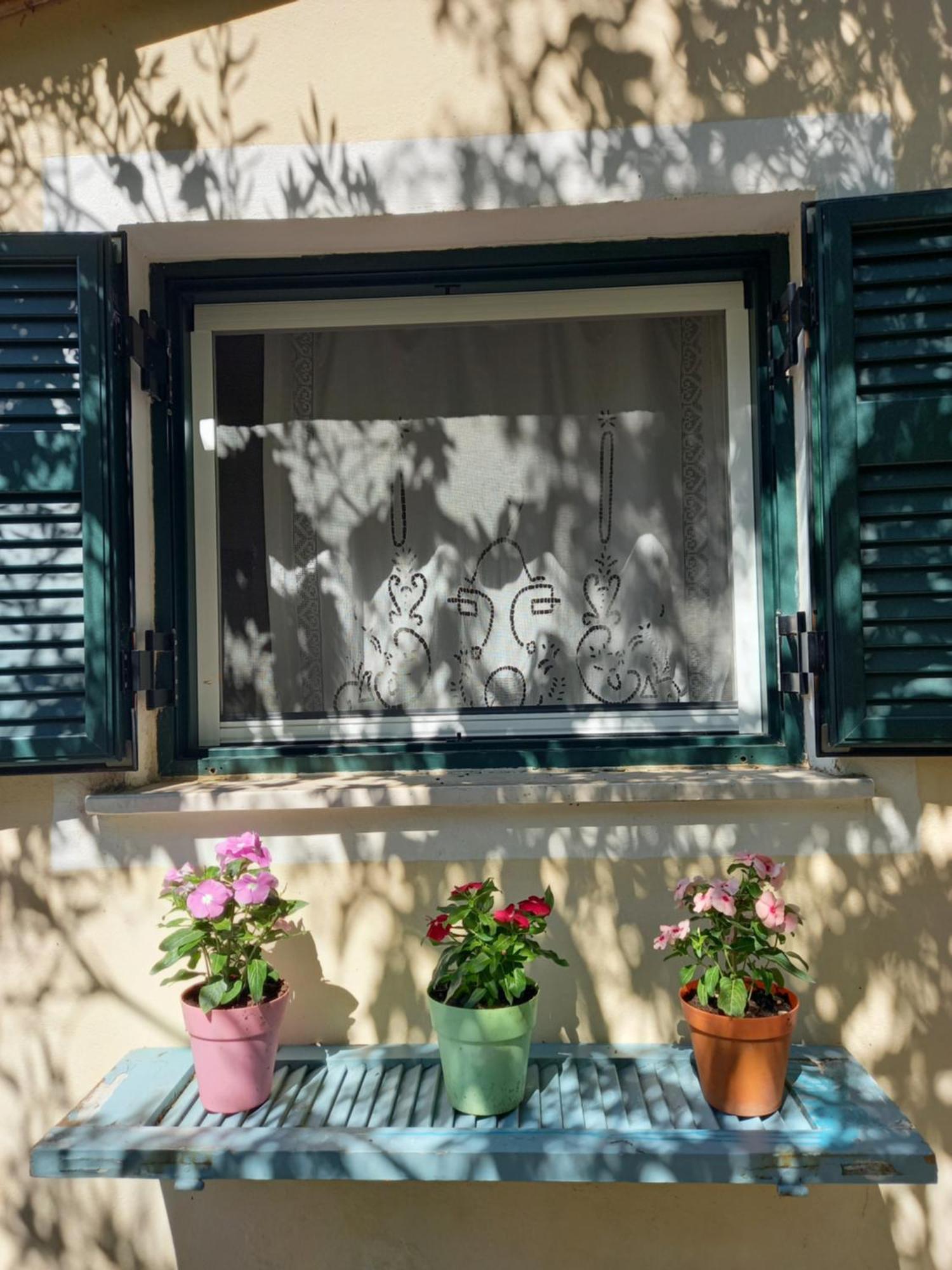 Apartamento Casa Natasa Oziás Habitación foto